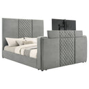 Tara Panel TV Bed - Michael's Discount Furniture
