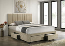 Wheatland Panel Platform Storage Bed - Michael's Discount Furniture