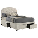 Marianna Panel Platform Storage Bed - Michael's Discount Furniture