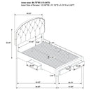 Marianna Panel Platform Storage Bed - Michael's Discount Furniture