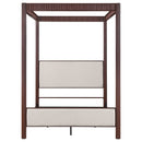 Zimmerlee Canopy Panel Bed - Michael's Discount Furniture