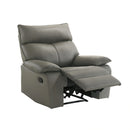Wildcat Motion Recliner in Aviarah Grey