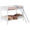 Littleton Bunk Bed - Michael's Discount Furniture