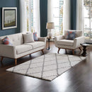Toryn Diamond Lattice 5x8 Shag Area Rug