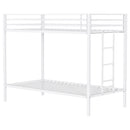 Alevera Bunk Bed - Michael's Discount Furniture