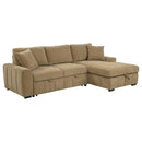 Pastrana Pull-Out Sleeper Sectional Sofa - Michael's Discount Furniture