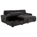 Pastrana Pull-Out Sleeper Sectional Sofa - Michael's Discount Furniture