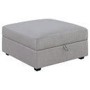 Cambria Storage Ottoman - Michael's Discount Furniture