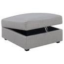 Cambria Storage Ottoman - Michael's Discount Furniture