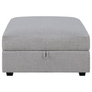 Cambria Storage Ottoman - Michael's Discount Furniture