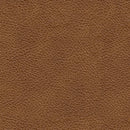 Carianna Sofa Sleeper - Michael's Discount Furniture