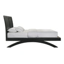 Allan Bed