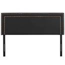 Jessamine King Upholstered Vinyl Headboard