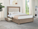 Kenora Panel Platform Storage Bed with LED Lighting