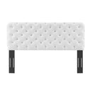 Lizzy Tufted Full/Queen Performance Velvet Headboard