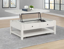 Payne Mobile Lift-Top Coffee Table - Michael's Discount Furniture