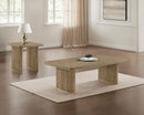 Adina Coffee Table Set - Michael's Discount Furniture
