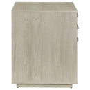 Loomis File Cabinet - Michael's Discount Furniture