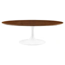 Lippa 48" Oval-Shaped Coffee Table