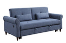 Sofa w/Sleeper