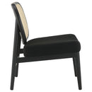Rayo Accent Chair - Michael's Discount Furniture