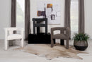 Petra Accent Chair - Michael's Discount Furniture