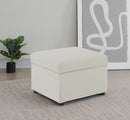 Winter Storage Ottoman - Michael's Discount Furniture