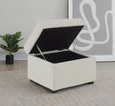 Winter Storage Ottoman - Michael's Discount Furniture