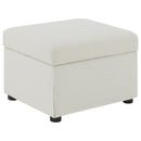Winter Storage Ottoman - Michael's Discount Furniture