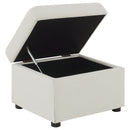 Winter Storage Ottoman - Michael's Discount Furniture