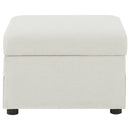 Winter Storage Ottoman - Michael's Discount Furniture