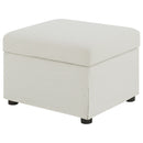 Winter Storage Ottoman - Michael's Discount Furniture