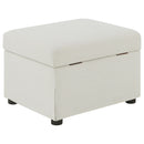 Winter Storage Ottoman - Michael's Discount Furniture