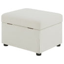 Winter Storage Ottoman - Michael's Discount Furniture