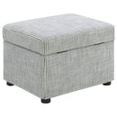 Winter Storage Ottoman - Michael's Discount Furniture