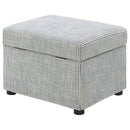 Winter Storage Ottoman - Michael's Discount Furniture