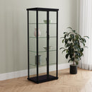Aero Curio Cabinet with LED Lighting - Michael's Discount Furniture