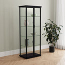 Aero Curio Cabinet with LED Lighting - Michael's Discount Furniture