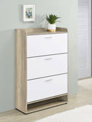 Denia Shoe Cabinet - Michael's Discount Furniture