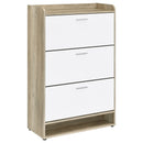 Denia Shoe Cabinet - Michael's Discount Furniture
