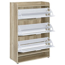 Denia Shoe Cabinet - Michael's Discount Furniture
