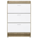 Denia Shoe Cabinet - Michael's Discount Furniture