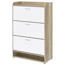 Denia Shoe Cabinet - Michael's Discount Furniture