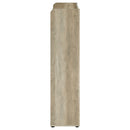 Denia Shoe Cabinet - Michael's Discount Furniture