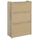 Denia Shoe Cabinet - Michael's Discount Furniture