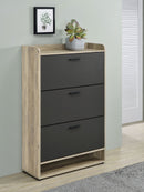 Denia Shoe Cabinet - Michael's Discount Furniture