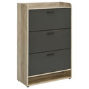 Denia Shoe Cabinet - Michael's Discount Furniture