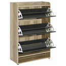 Denia Shoe Cabinet - Michael's Discount Furniture