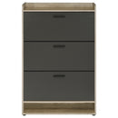 Denia Shoe Cabinet - Michael's Discount Furniture