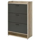 Denia Shoe Cabinet - Michael's Discount Furniture